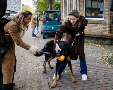 Moos, the dog of leader of the People’s Party for Freedom and Democracy (VVD) Dilan Yesilgoz, grabs a microphone windscreen from TV show RTL Boulevard before casting her vote in the Dutch House of Representatives elections in Amsterdam.