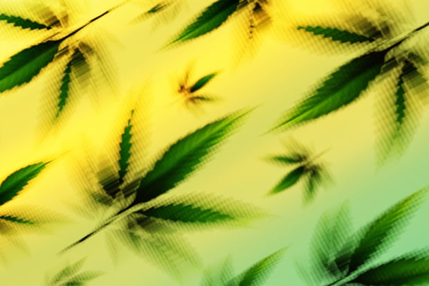 How US hemp ban could criminalize CBD products – and derail Medicare plan How US hemp ban could criminalize CBD products – and derail Medicare plan