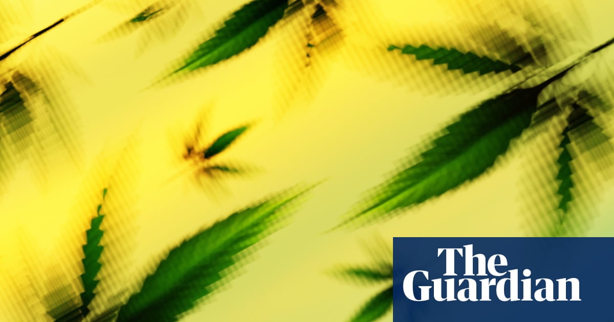 How US hemp ban could criminalize CBD products – and derail Medicare plan