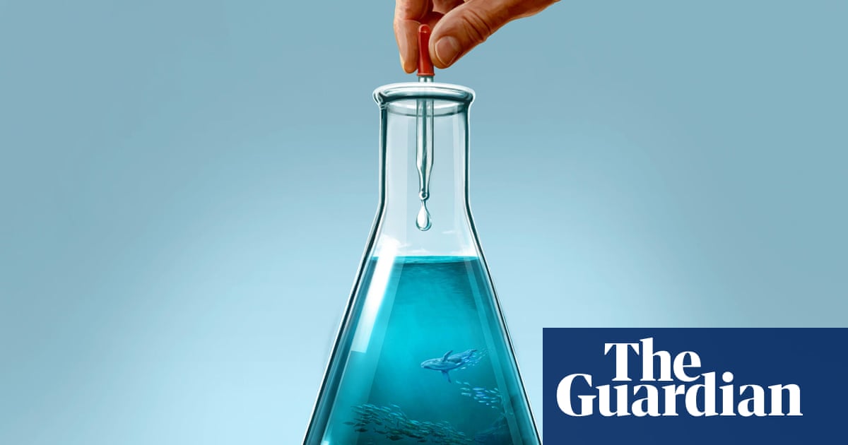 A drop in the ocean: does experimental technology hold the key to saving the world's seas?