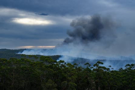 Smoke rises from burning bushland
