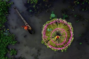 People. Runner-up: Waterlily Harvesting by Shibasish SahaThis image was taken by a drone to show the working time of rural people during the monsoon season in the wetlands of West Bengal. Two workers occupy the scene with their colourful hats and clothes. Waterlilies create two concentric coloured rings from which one of the two characters seems to emerge