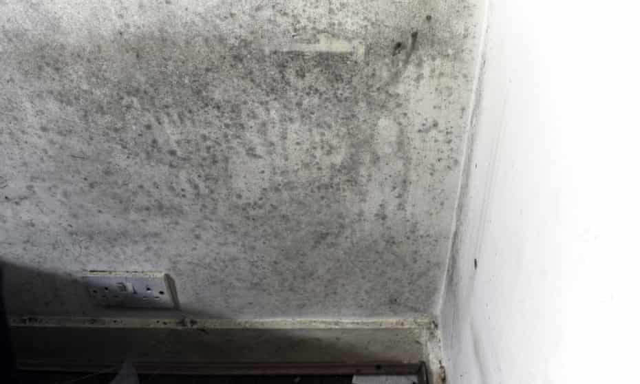 Mould on the walls of a rental property