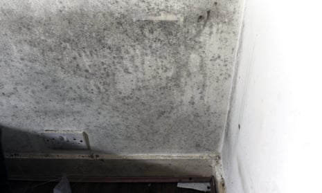 Mould on the walls of a property in Newham
