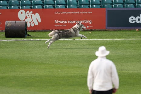 A dog interrupts play during the match between Leicestershire and Somerset at Grace Road