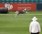 Dog stops play at Leicestershire as title race heats up: county cricket, day three – live