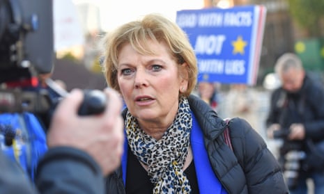Anna Soubry outside parliament in London