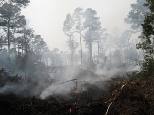 Burning peatland