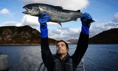 Salmon farm worker Gary Trotter with a farmed salmon at Loch Duart in Scotland.