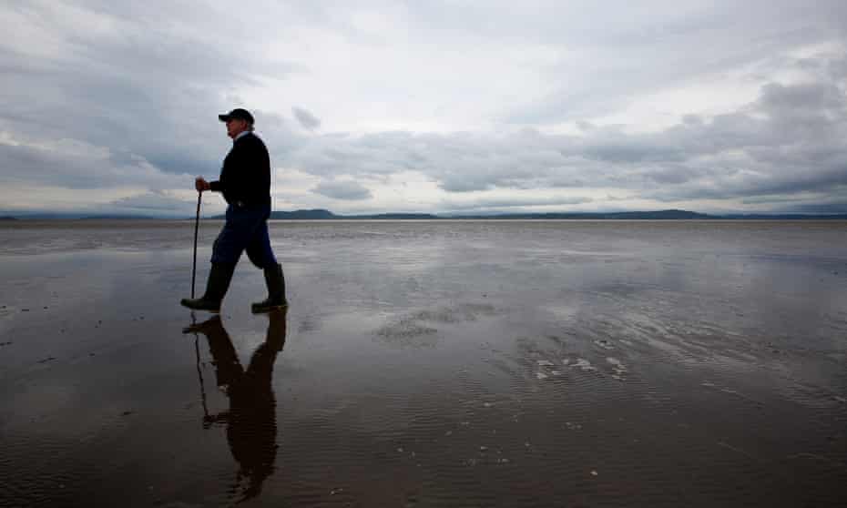 a guide finds a safe way across the the sands of Morecambe Bay. 