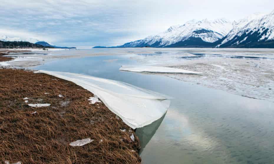 Melting ice on the Chilkat river near Haines, Alaska, in January 2016. This winter scientists said the Arctic freeze stalled early on, across the polar seas.