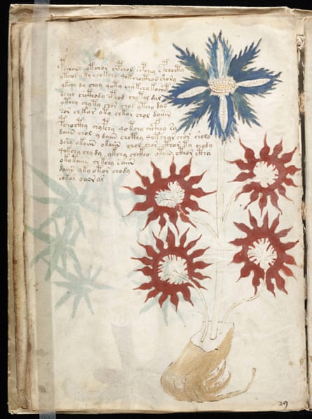 A page from the Voynich manuscript, an illustrated codex hand-written in an unknown writing system.
