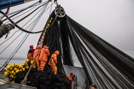 Ocean plastic was choking Chile's shores. Now it's in Patagonia's hats | Chile | The Guardian Ocean plastic was choking Chile's shores. Now it's in Patagonia's hats | Chile | The Guardian