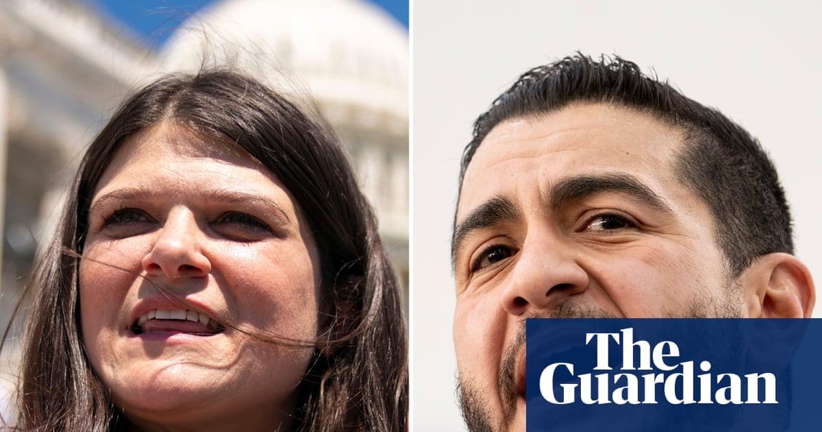 Washington sees this Senate race as a key test for Democrats. Michigan voters just want to get by