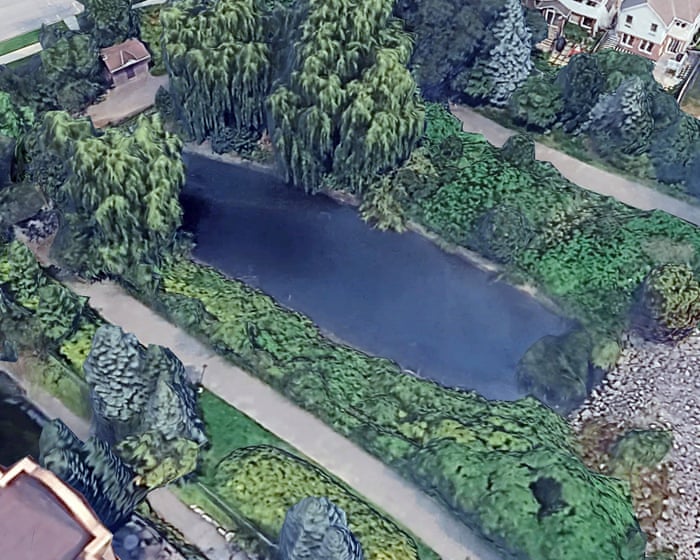 Ottawa officials to cull ‘mindblowing’ influx of thousands of goldfish in pond