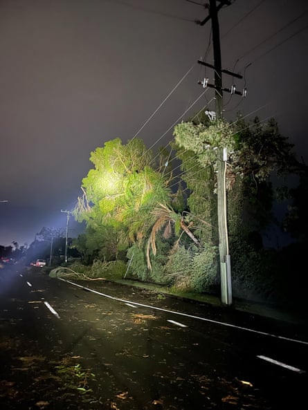 A supplied image shows a fallen tree and damage following wild weather on the Gold Coast, Monday 25 December 2023.