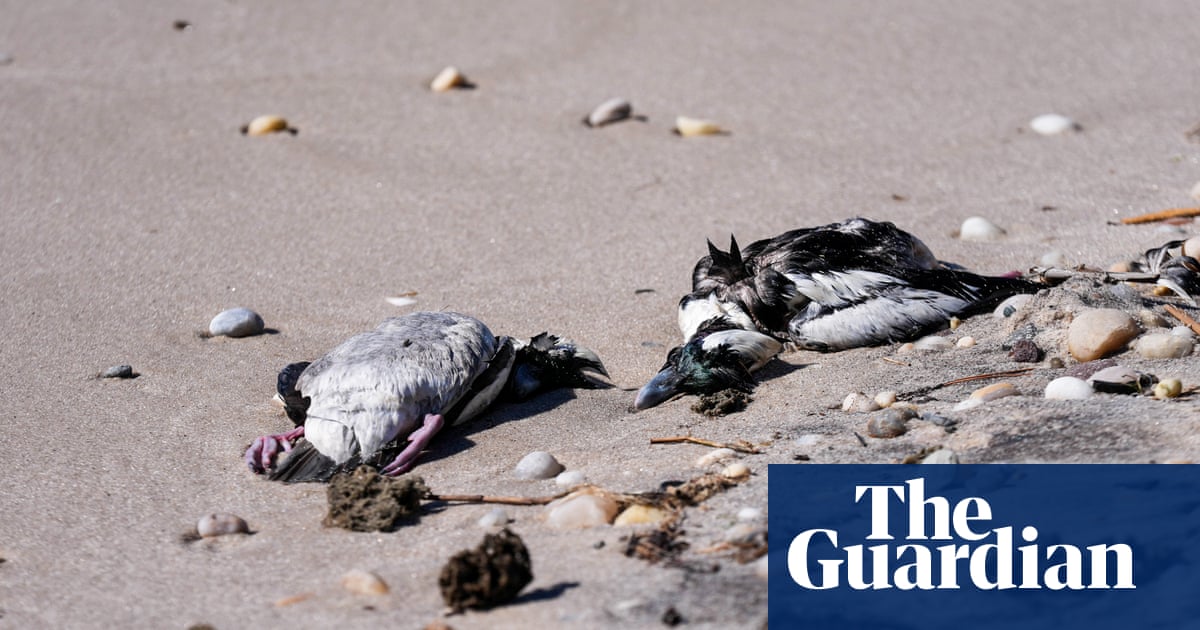 What is bird flu, and should you be worried about it?