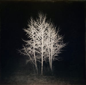 Thom Middlebrook: Night Tree (Night, 2nd place)From a series of winter treessee all the winners https://minimalistphotographyawards.com/minimalist-photography-awards-winners-2021/