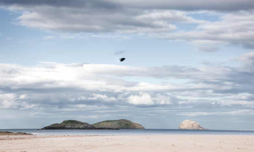 'Wonderful': Yellowcraigs Beach.