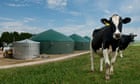Gas goes green as suppliers opt for carbon neutral sources