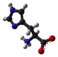 Histadine as seen by a chemist