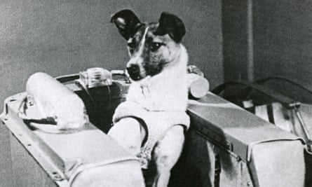 Rocketman’s best friend … Laika became the first canine in space when she flew aboard Sputnik 2 on 3 November 1957.