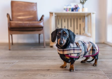 Valerie ambassador in The Paws Room wearing a Burberry jacket