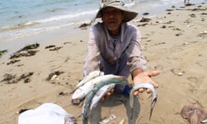 A villager shows dead sea fish he collected on a beach in Phu Loc district, in the central province of Thua Thien Hue.