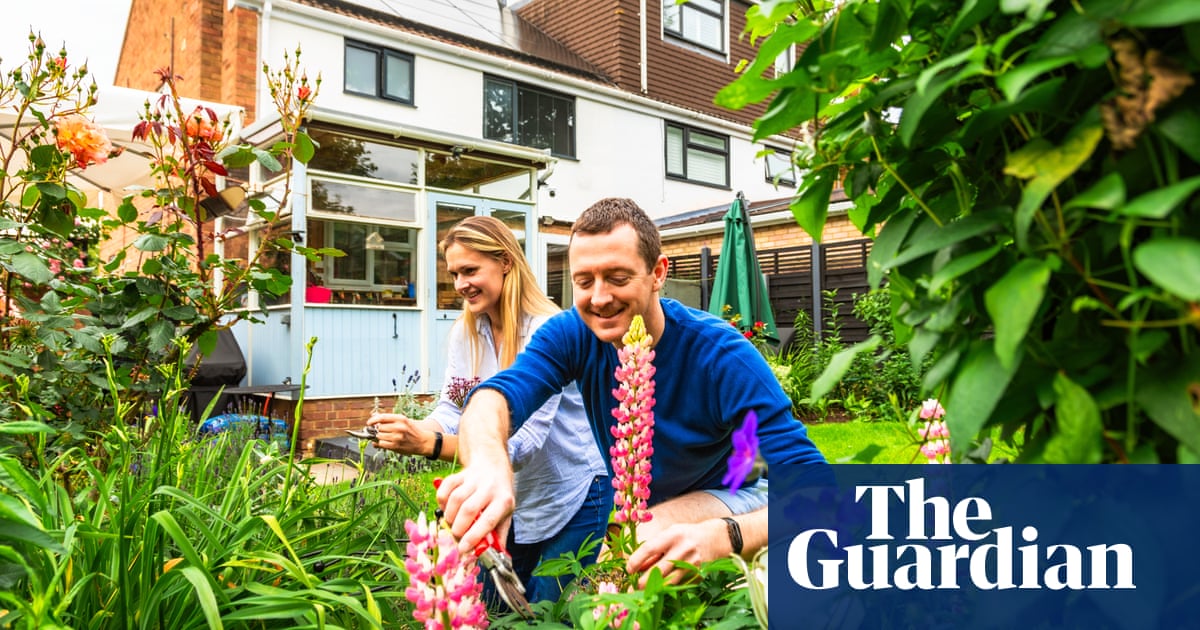 A new leaf: cheap and low-cost ways to bring a garden to life