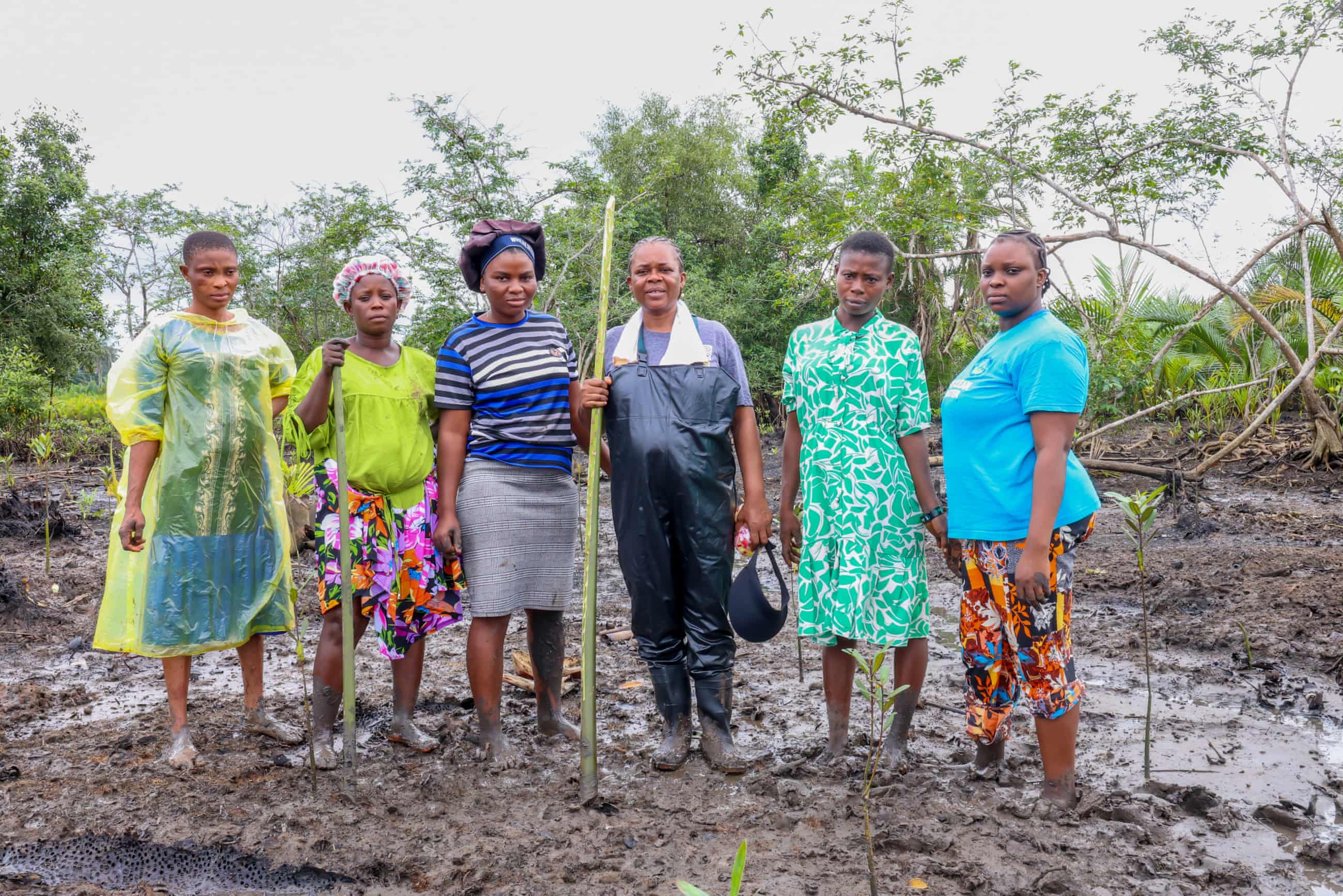 One green shoot at a time: the women restoring mangrove forests in the oil-ravaged Niger delta