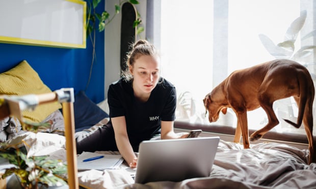 A teenage girl studying online using her laptop from home in her bedroom with her pet dog.