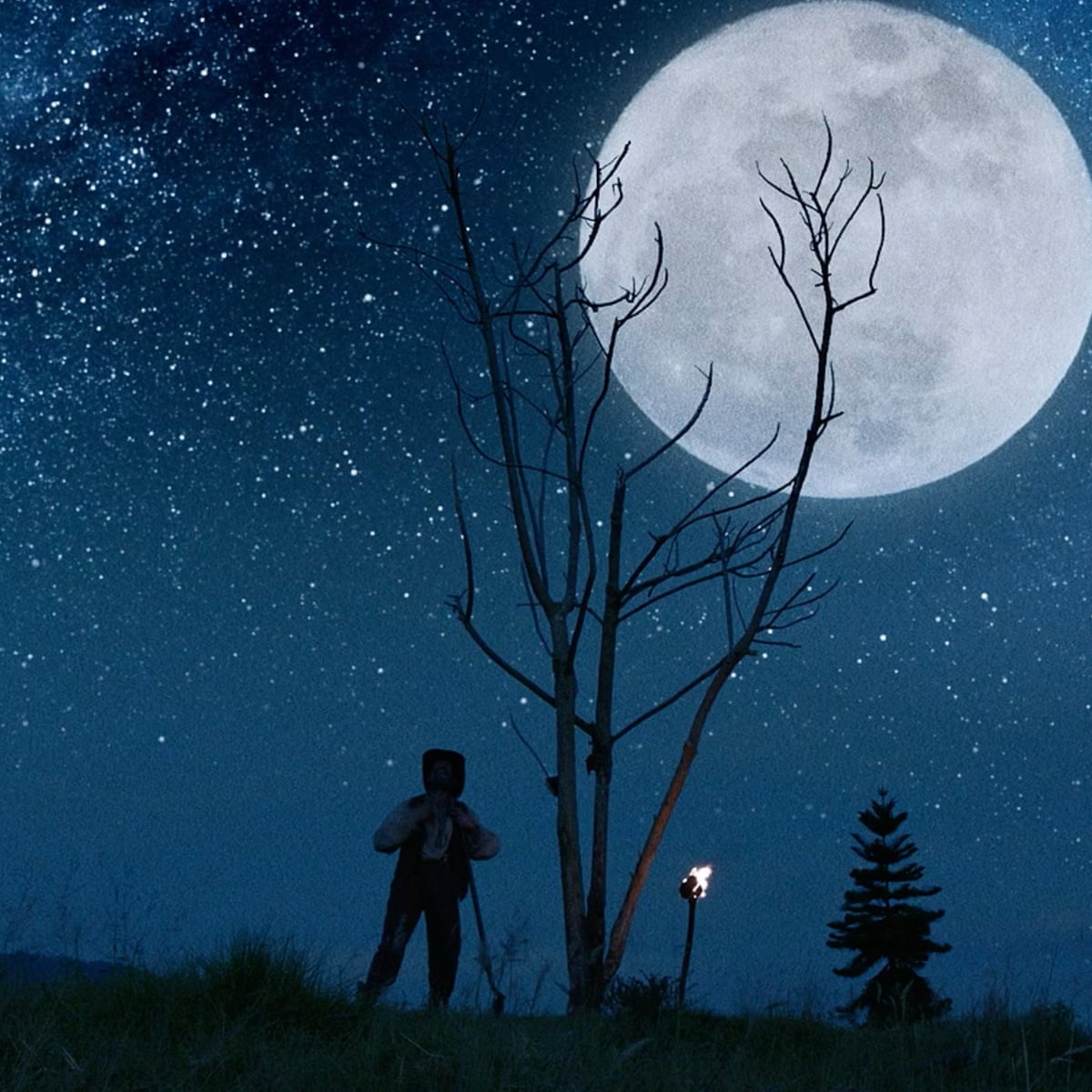 Luz The flower of evil, Juan Diego Escobar Alzate, 2019