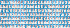 Daniel Szalai, Winner: A Selection of the total 168 Hen Portraits