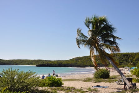 People on sandy beach with palm tree