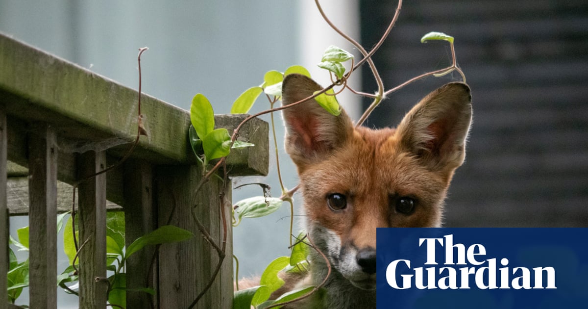 The Unexpected Healing Power of Nature in Mourning