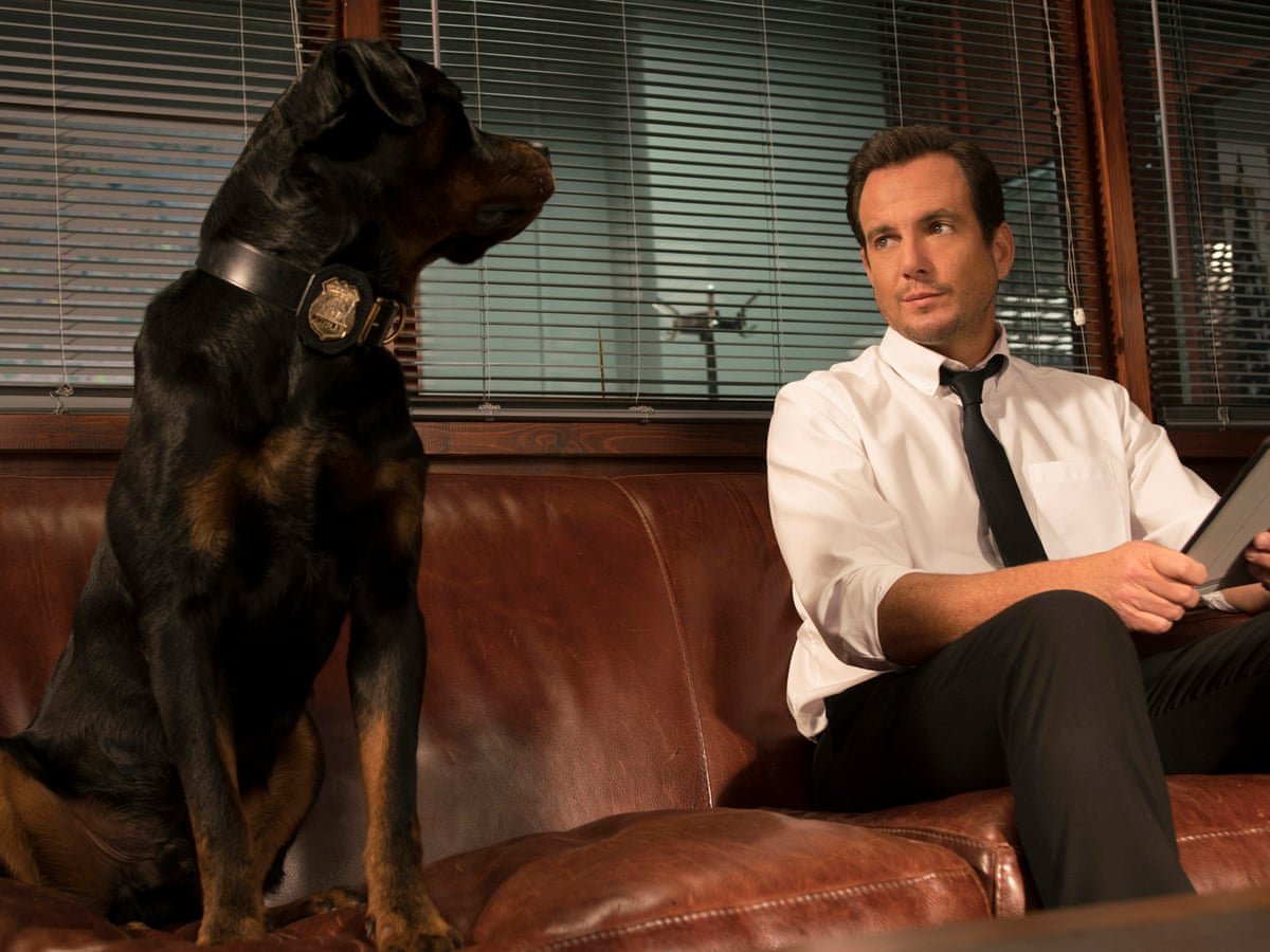 Show Dogs Review Canine Caper That S As Ruff As They Come Comedy Films The Guardian Show Dogs Review Canine Caper That S As Ruff As They Come Comedy Films The Guardian