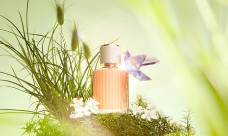 It's spring, and I'm on the scent of gorgeous, affordable fragrances, Fragrance