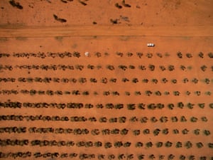 A drought-stricken property in Queensland.