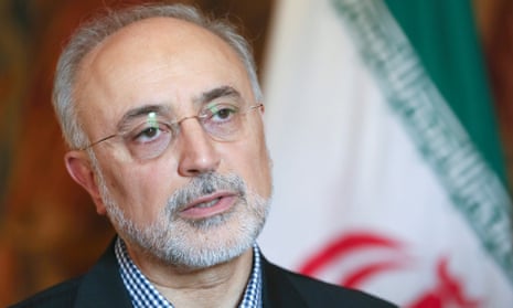 Ali Akbar Salehi, an Iranian vice-president and head of the country’s atomic energy organisation.