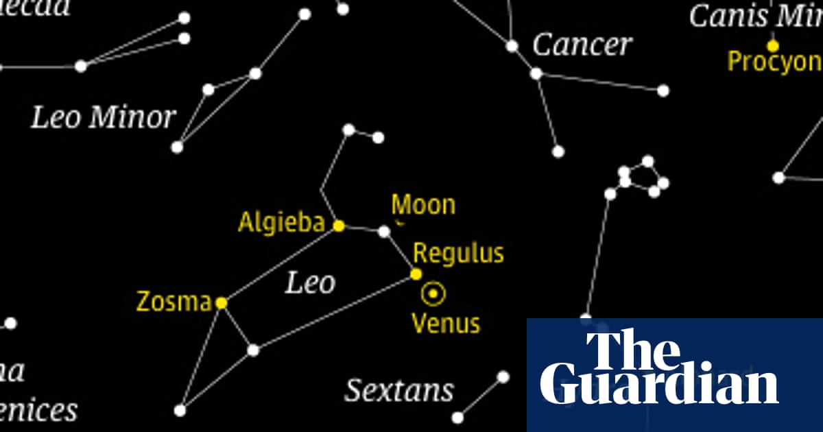 Starwatch: triple delight as the moon, Regulus and Venus line up