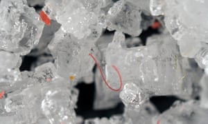 https://www.theguardian.com/environment/2019/jun/05/people-eat-at-least-50000-plastic-particles-a-year-study-finds