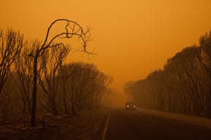 Bastion Point Road leading to popular Bastion Point Beach. Over summer this road is normally lined with holidaymakers in their cars.