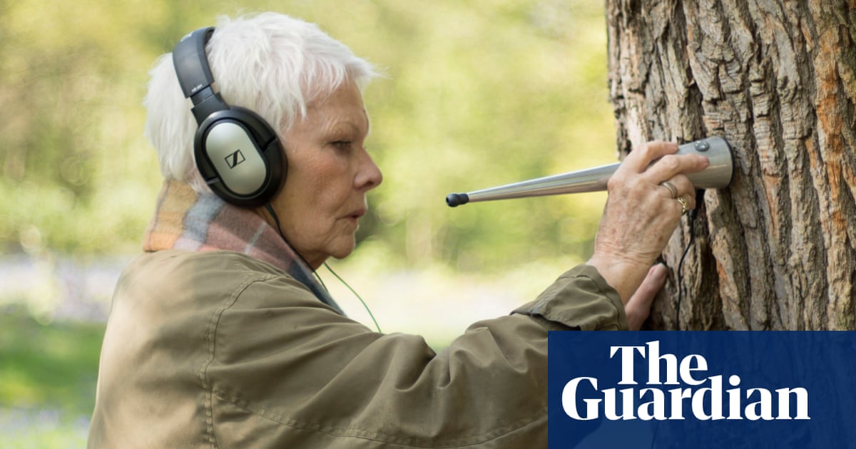 Judi Dench My Passion For Trees Review From Woodland Stethoscopes