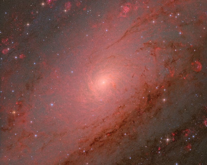 Astronomy photographer of the year 2025 – winners and finalists