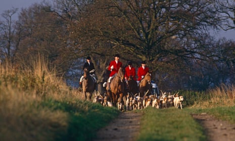 The Quorn Hunt in Leicestershire with a pack of hounds