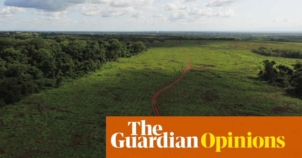 Planting trees is only a good news story if it’s done right - The Guardian