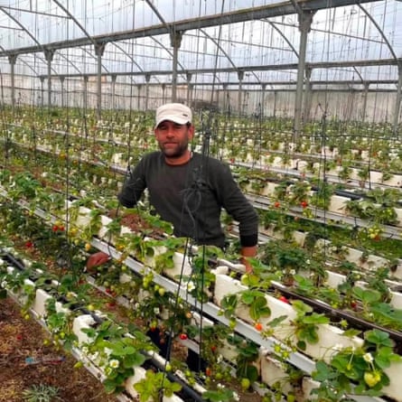 Bilal Abu Rabee standing in a large greenhouse full of rows of seedlings