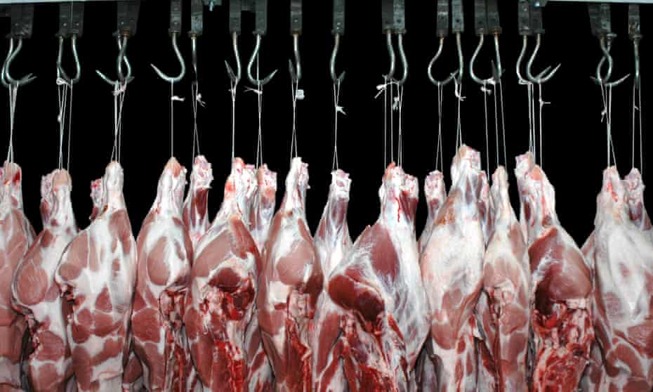 Pork meat hanging in a butchery