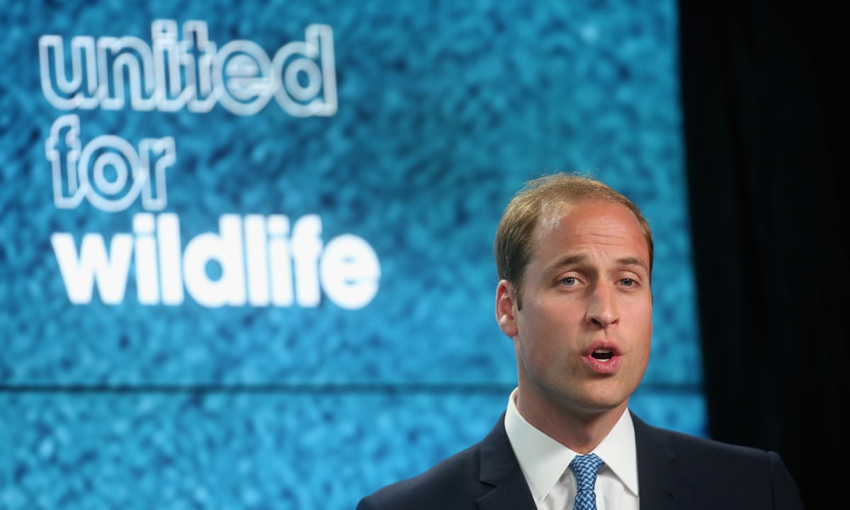 Shipping companies join Prince William bid to shut wildlife trafficking routes | Illegal wildlife trade | The Guardian