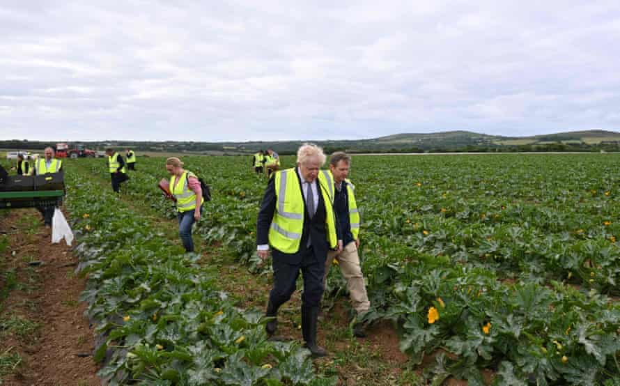 Boris Johnson (centre) with farm manger Gordon Stokes as they look at courgette plants during a visit to Southern England Farms Ltd in Hayle in Cornwall.
